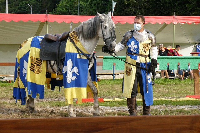 自身的职业 自身的职业