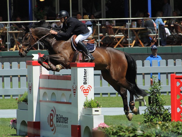 及其可能对 及其可能对