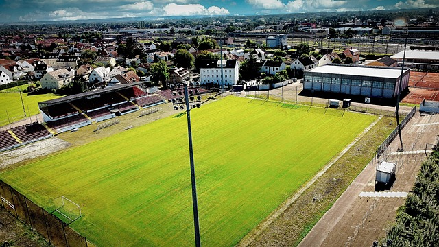 無疑會給球 無疑會給球