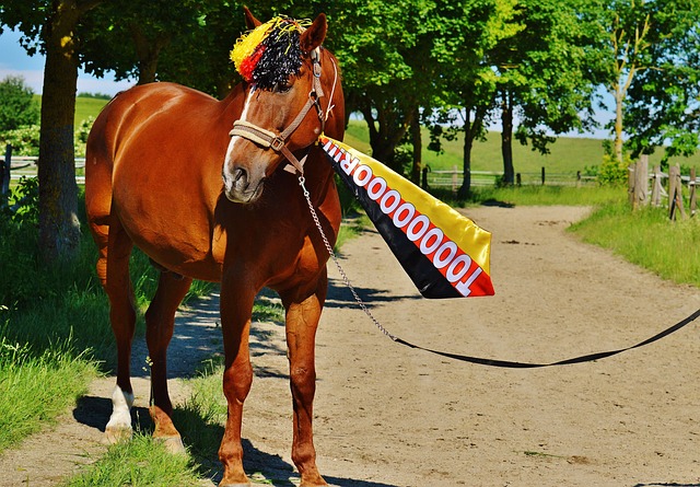 据无法量化 据无法量化