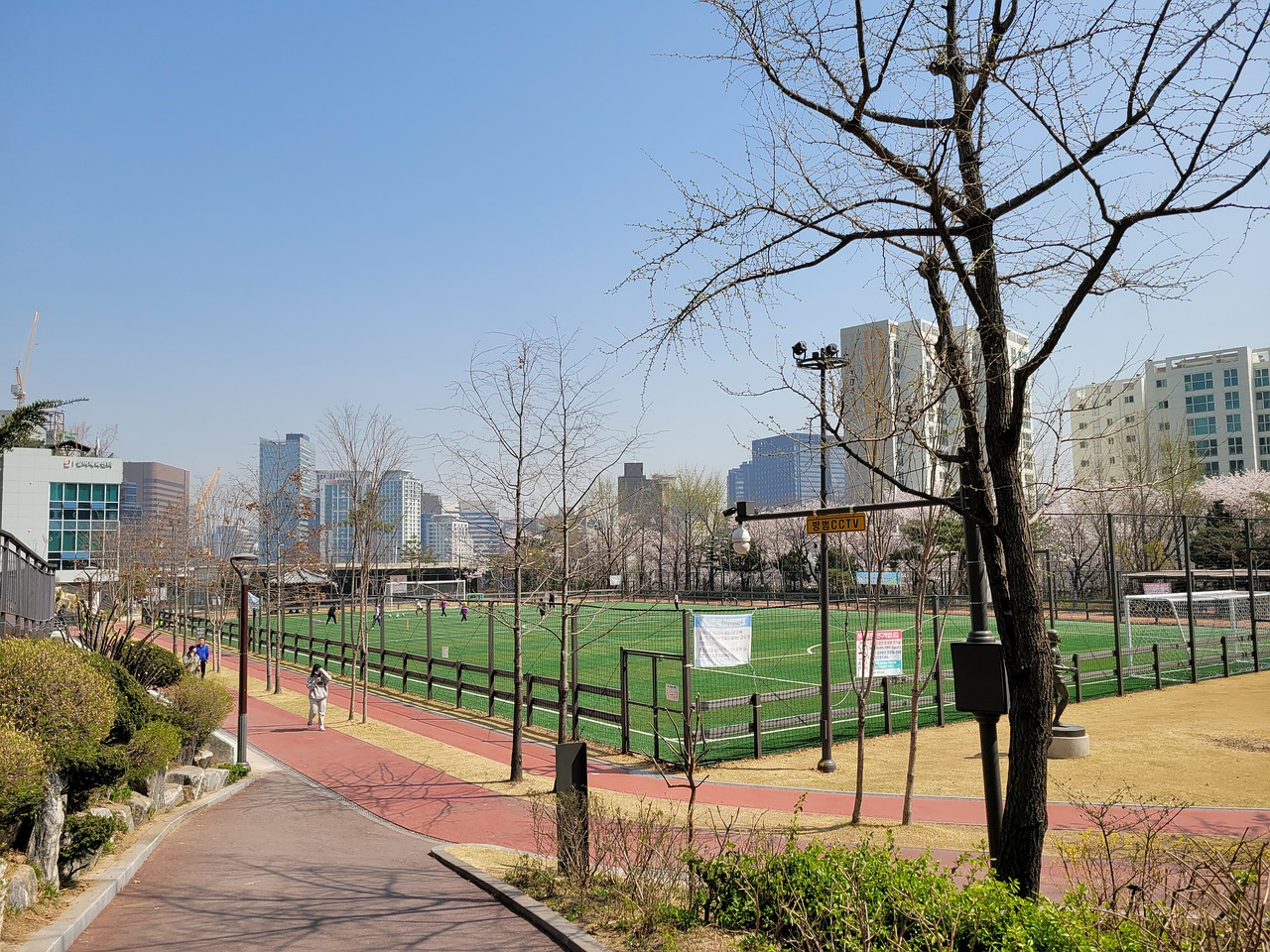 便成为了这 便成为了这