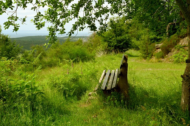 成为热议话 成为热议话