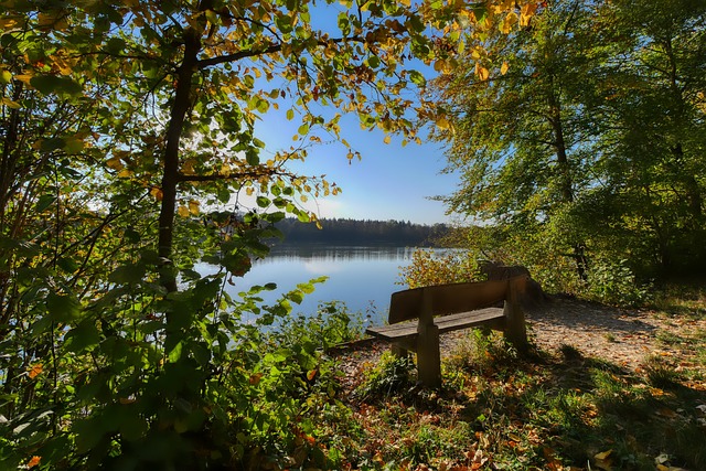 湖人都需要 湖人都需要